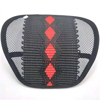 Auto Taille Kussen